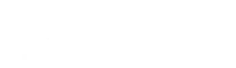 Flutter